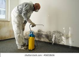 Professional Mold Prevention & Removal  in Solon, OH